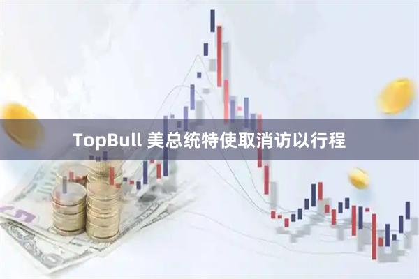TopBull 美总统特使取消访以行程