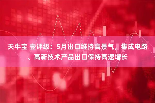 天牛宝 壹评级：5月出口维持高景气，集成电路、高新技术产品出口保持高速增长