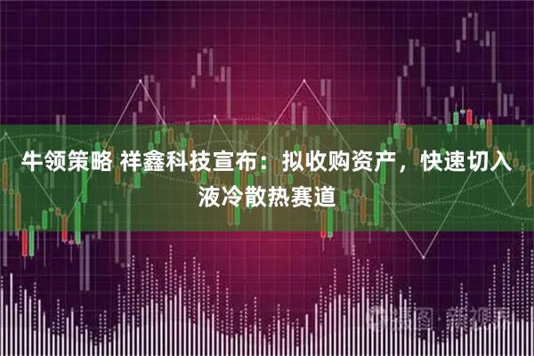 牛领策略 祥鑫科技宣布：拟收购资产，快速切入液冷散热赛道