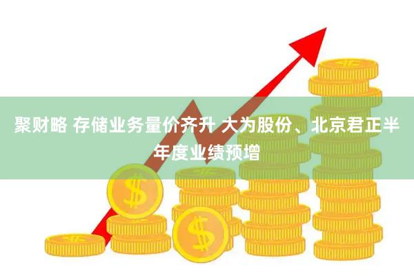 聚财略 存储业务量价齐升 大为股份、北京君正半年度业绩预增