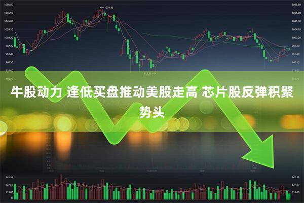 牛股动力 逢低买盘推动美股走高 芯片股反弹积聚势头
